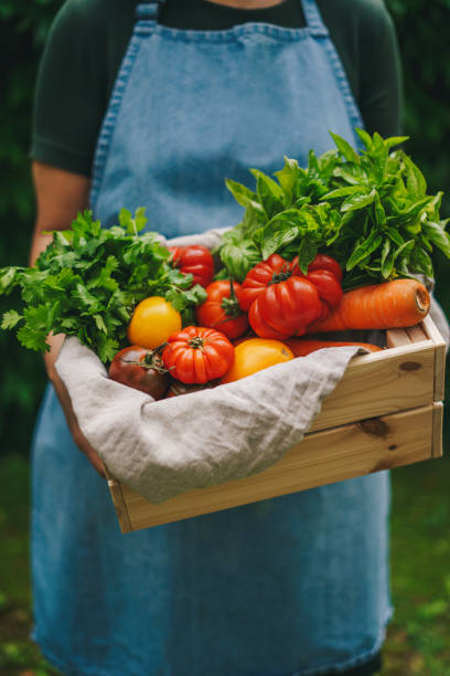 Garden harvest