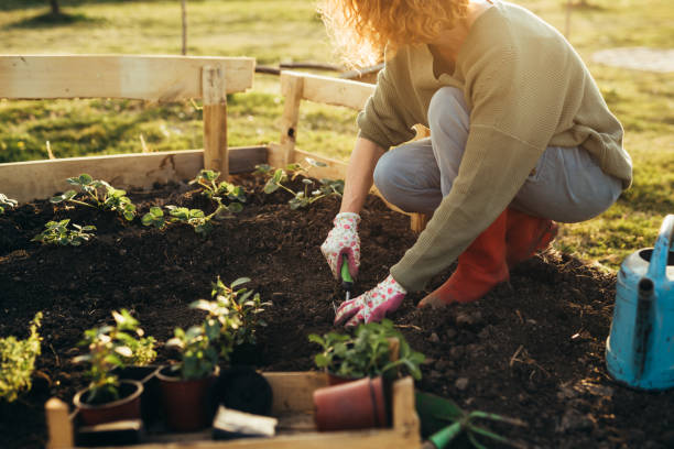 Neighbor helping in the garden